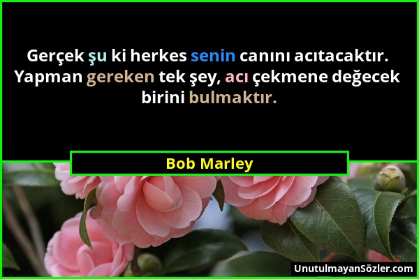 Bob Marley - Gerçek şu ki herkes senin canını acıtacaktır. Yapman gereken tek şey, acı çekmene değecek birini bulmaktır....