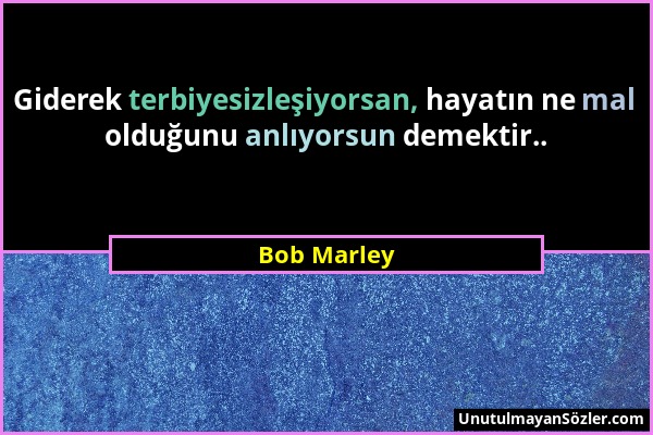 Bob Marley - Giderek terbiyesizleşiyorsan, hayatın ne mal olduğunu anlıyorsun demektir.....