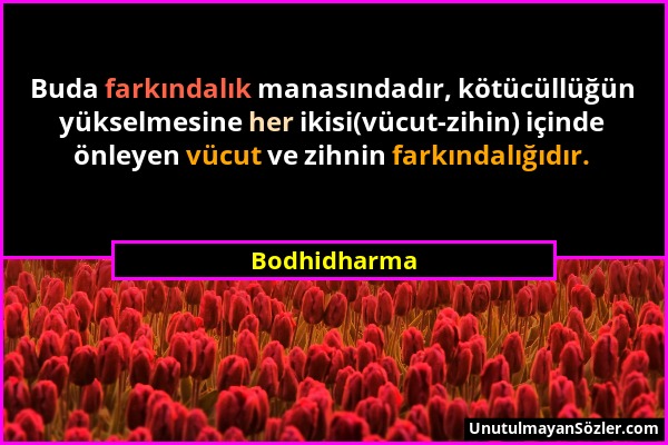 Bodhidharma - Buda farkındalık manasındadır, kötücüllüğün yükselmesine her ikisi(vücut-zihin) içinde önleyen vücut ve zihnin farkındalığıdır....