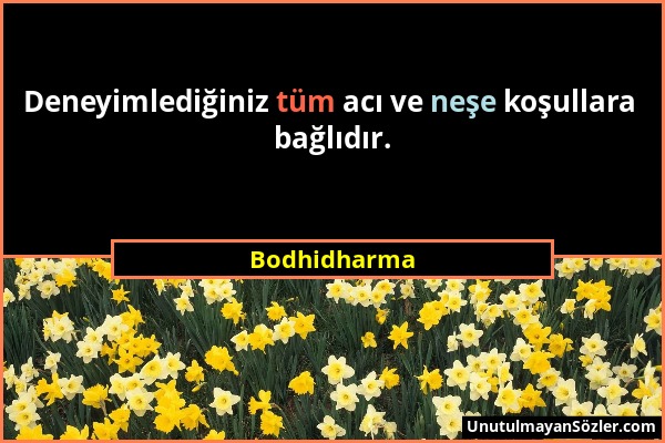 Bodhidharma - Deneyimlediğiniz tüm acı ve neşe koşullara bağlıdır....