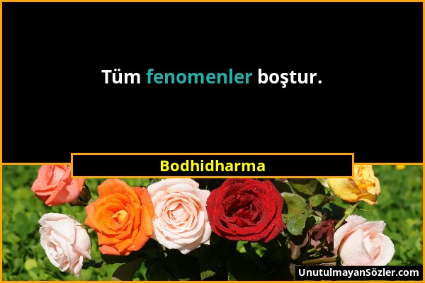 Bodhidharma - Tüm fenomenler boştur....