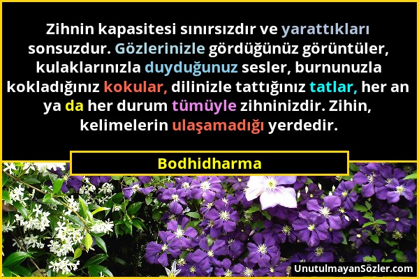 Bodhidharma - Zihnin kapasitesi sınırsızdır ve yarattıkları sonsuzdur. Gözlerinizle gördüğünüz görüntüler, kulaklarınızla duyduğunuz sesler, burnunuzl...