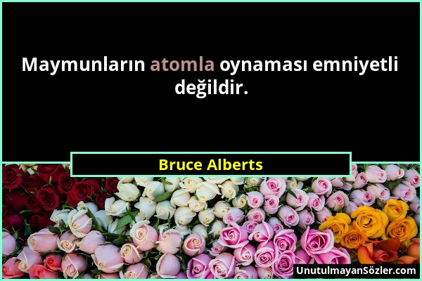 Bruce Alberts - Maymunların atomla oynaması emniyetli değildir....