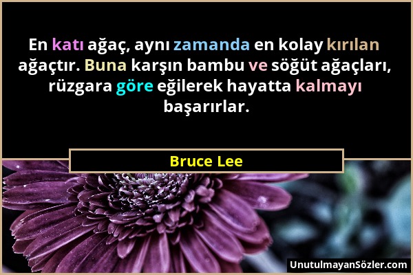 Bruce Lee - En katı ağaç, aynı zamanda en kolay kırılan ağaçtır. Buna karşın bambu ve söğüt ağaçları, rüzgara göre eğilerek hayatta kalmayı başarırlar...