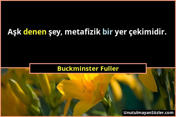 Buckminster Fuller - Aşk denen şey, metafizik bir yer çekimidir....