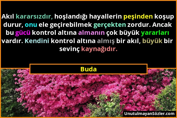 Buda - Akıl kararsızdır, hoşlandığı hayallerin peşinden koşup durur, onu ele geçirebilmek gerçekten zordur. Ancak bu gücü kontrol altına almanın çok b...