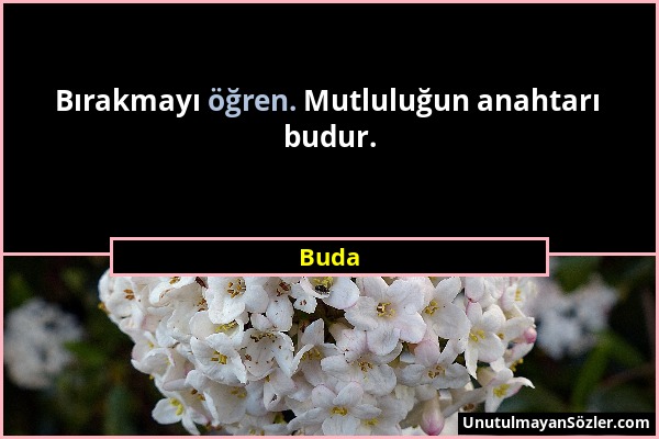 Buda - Bırakmayı öğren. Mutluluğun anahtarı budur....