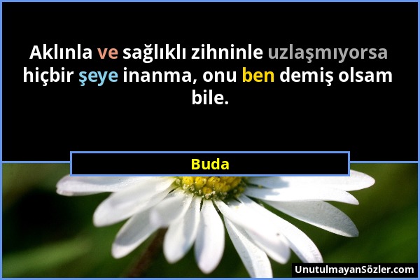 Buda - Aklınla ve sağlıklı zihninle uzlaşmıyorsa hiçbir şeye inanma, onu ben demiş olsam bile....