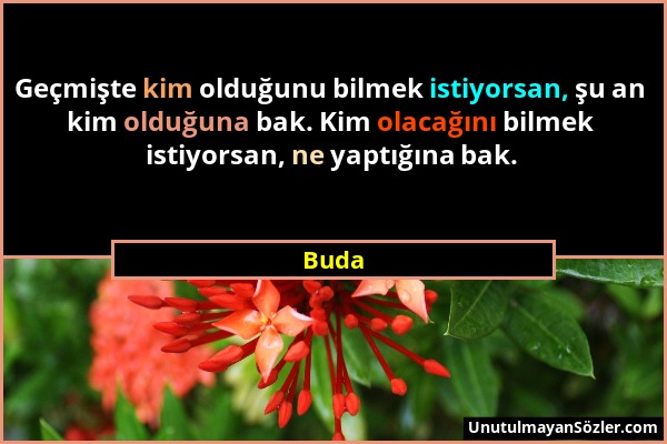 Buda - Geçmişte kim olduğunu bilmek istiyorsan, şu an kim olduğuna bak. Kim olacağını bilmek istiyorsan, ne yaptığına bak....