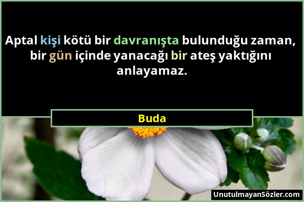 Buda - Aptal kişi kötü bir davranışta bulunduğu zaman, bir gün içinde yanacağı bir ateş yaktığını anlayamaz....