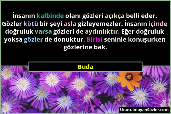 Buda - İnsanın kalbinde olanı gözleri açıkça belli eder. Gözler kötü bir şeyi asla gizleyemezler. İnsanın içinde doğruluk varsa gözleri de aydınlıktır...