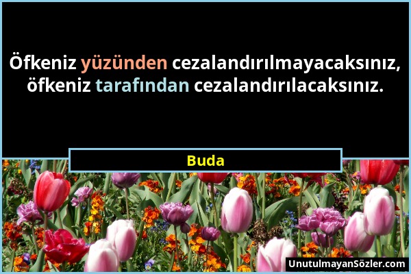 Buda - Öfkeniz yüzünden cezalandırılmayacaksınız, öfkeniz tarafından cezalandırılacaksınız....