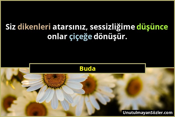 Buda - Siz dikenleri atarsınız, sessizliğime düşünce onlar çiçeğe dönüşür....