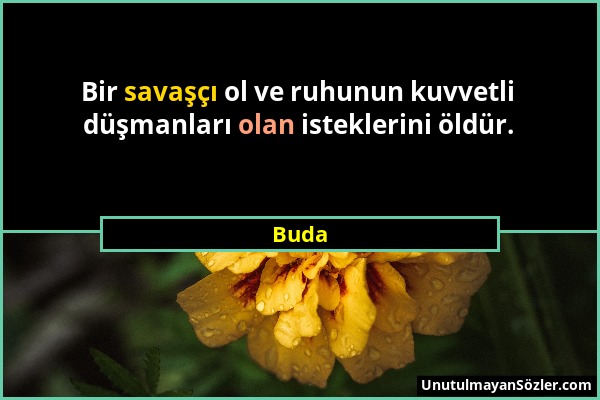 Buda - Bir savaşçı ol ve ruhunun kuvvetli düşmanları olan isteklerini öldür....