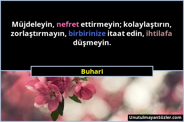 Buhari - Müjdeleyin, nefret ettirmeyin; kolaylaştırın, zorlaştırmayın, birbirinize itaat edin, ihtilafa düşmeyin....