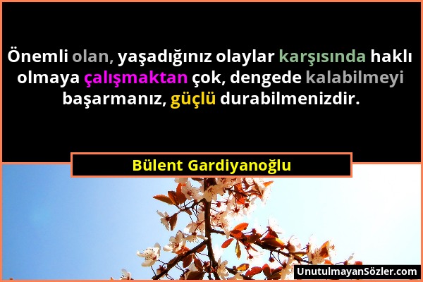 Bülent Gardiyanoğlu - Önemli olan, yaşadığınız olaylar karşısında haklı olmaya çalışmaktan çok, dengede kalabilmeyi başarmanız, güçlü durabilmenizdir....