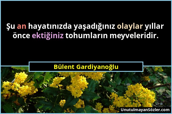 Bülent Gardiyanoğlu - Şu an hayatınızda yaşadığınız olaylar yıllar önce ektiğiniz tohumların meyveleridir....