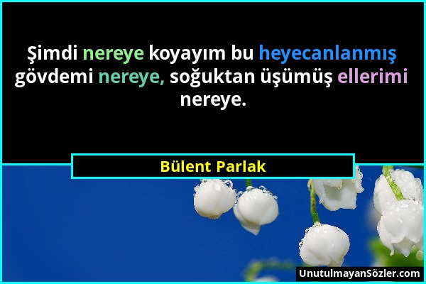 Bülent Parlak - Şimdi nereye koyayım bu heyecanlanmış gövdemi nereye, soğuktan üşümüş ellerimi nereye....