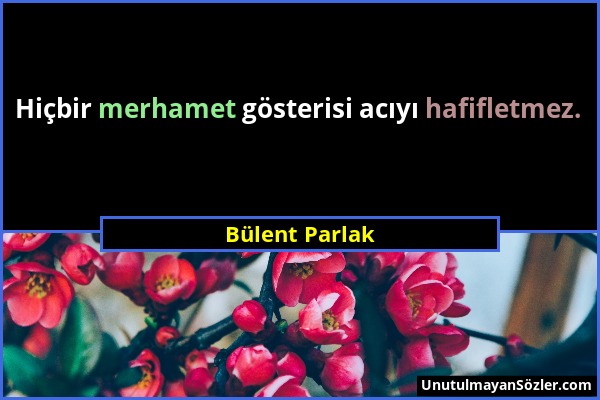 Bülent Parlak - Hiçbir merhamet gösterisi acıyı hafifletmez....