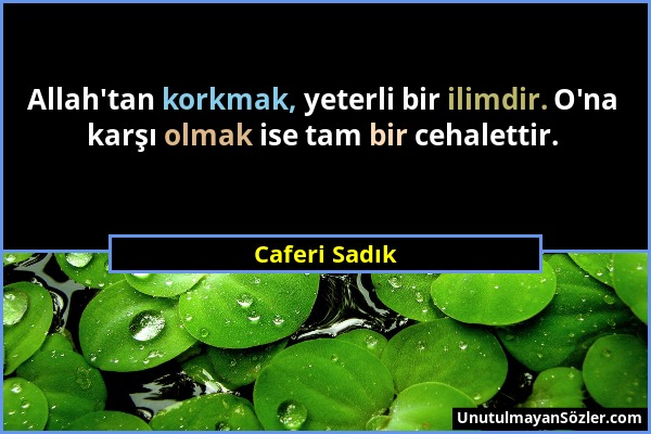 Caferi Sadık - Allah'tan korkmak, yeterli bir ilimdir. O'na karşı olmak ise tam bir cehalettir....