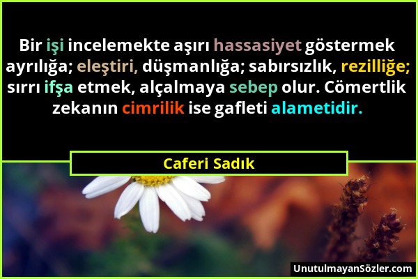 Caferi Sadık - Bir işi incelemekte aşırı hassasiyet göstermek ayrılığa; eleştiri, düşmanlığa; sabırsızlık, rezilliğe; sırrı ifşa etmek, alçalmaya sebe...