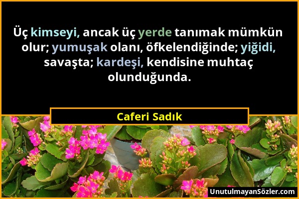 Caferi Sadık - Üç kimseyi, ancak üç yerde tanımak mümkün olur; yumuşak olanı, öfkelendiğinde; yiğidi, savaşta; kardeşi, kendisine muhtaç olunduğunda....