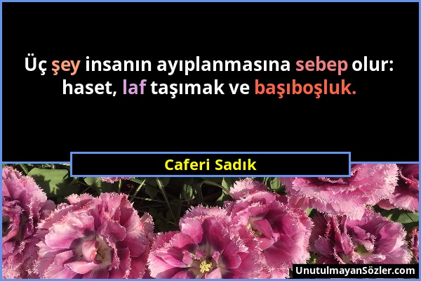 Caferi Sadık - Üç şey insanın ayıplanmasına sebep olur: haset, laf taşımak ve başıboşluk....