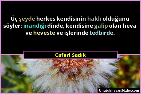 Caferi Sadık - Üç şeyde herkes kendisinin haklı olduğunu söyler: inandığı dinde, kendisine galip olan heva ve heveste ve işlerinde tedbirde....