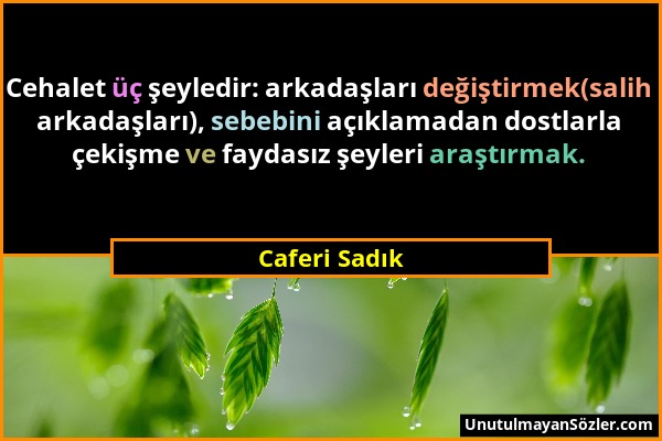 Caferi Sadık - Cehalet üç şeyledir: arkadaşları değiştirmek(salih arkadaşları), sebebini açıklamadan dostlarla çekişme ve faydasız şeyleri araştırmak....