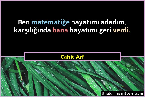 Cahit Arf - Ben matematiğe hayatımı adadım, karşılığında bana hayatımı geri verdi....