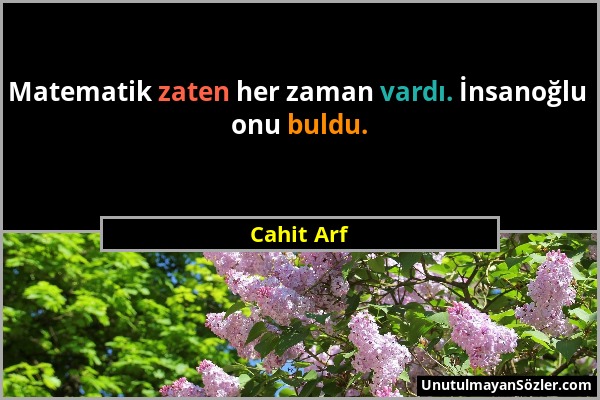 Cahit Arf - Matematik zaten her zaman vardı. İnsanoğlu onu buldu....