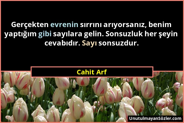 Cahit Arf - Gerçekten evrenin sırrını arıyorsanız, benim yaptığım gibi sayılara gelin. Sonsuzluk her şeyin cevabıdır. Sayı sonsuzdur....