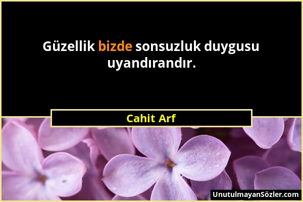 Cahit Arf - Güzellik bizde sonsuzluk duygusu uyandırandır....