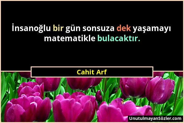 Cahit Arf - İnsanoğlu bir gün sonsuza dek yaşamayı matematikle bulacaktır....