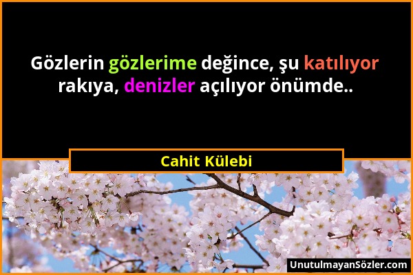 Cahit Külebi - Gözlerin gözlerime değince, şu katılıyor rakıya, denizler açılıyor önümde.....