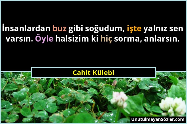 Cahit Külebi - İnsanlardan buz gibi soğudum, işte yalnız sen varsın. Öyle halsizim ki hiç sorma, anlarsın....