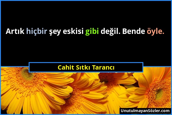 Cahit Sıtkı Tarancı - Artık hiçbir şey eskisi gibi değil. Bende öyle....