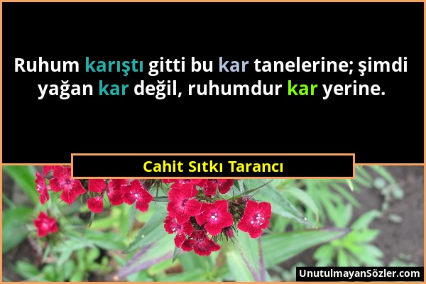 Cahit Sıtkı Tarancı - Ruhum karıştı gitti bu kar tanelerine; şimdi yağan kar değil, ruhumdur kar yerine....