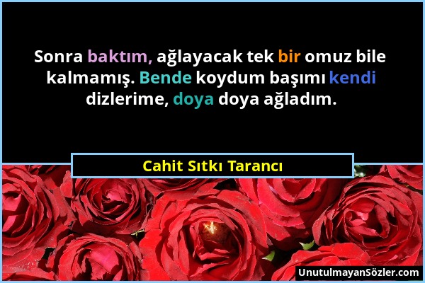 Cahit Sıtkı Tarancı - Sonra baktım, ağlayacak tek bir omuz bile kalmamış. Bende koydum başımı kendi dizlerime, doya doya ağladım....