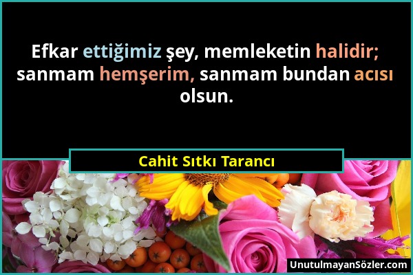 Cahit Sıtkı Tarancı - Efkar ettiğimiz şey, memleketin halidir; sanmam hemşerim, sanmam bundan acısı olsun....