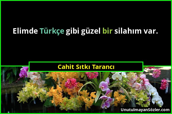 Cahit Sıtkı Tarancı - Elimde Türkçe gibi güzel bir silahım var....