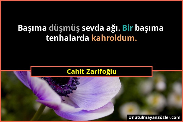 Cahit Zarifoğlu - Başıma düşmüş sevda ağı. Bir başıma tenhalarda kahroldum....