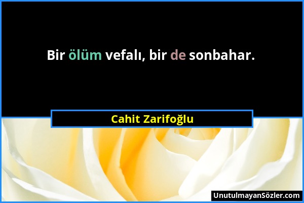 Cahit Zarifoğlu - Bir ölüm vefalı, bir de sonbahar....