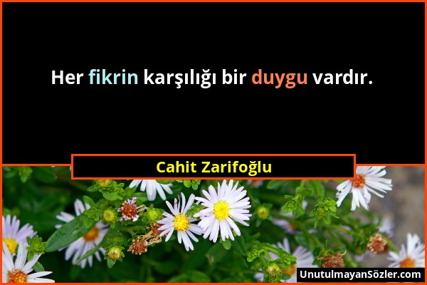 Cahit Zarifoğlu - Her fikrin karşılığı bir duygu vardır....