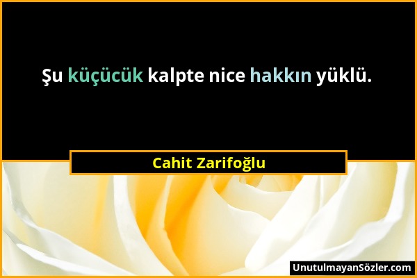 Cahit Zarifoğlu - Şu küçücük kalpte nice hakkın yüklü....