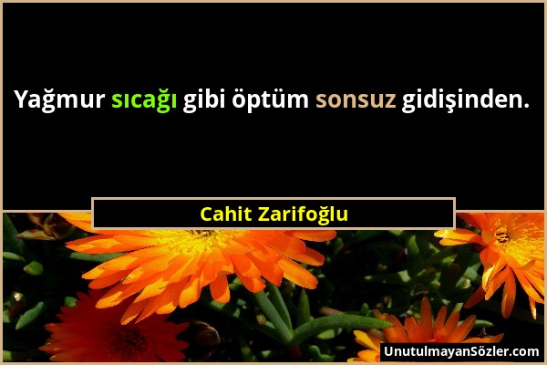 Cahit Zarifoğlu - Yağmur sıcağı gibi öptüm sonsuz gidişinden....