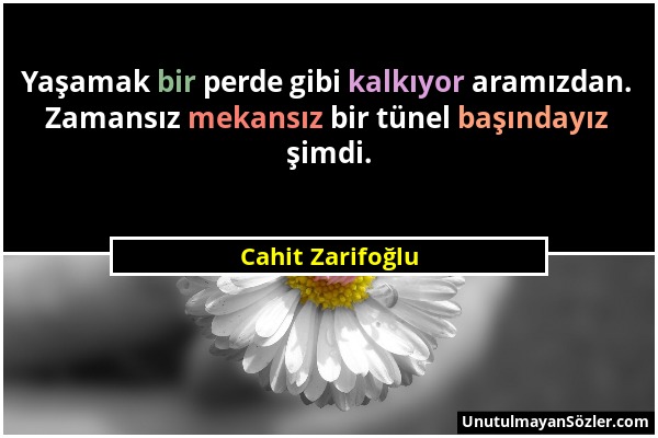 Cahit Zarifoğlu - Yaşamak bir perde gibi kalkıyor aramızdan. Zamansız mekansız bir tünel başındayız şimdi....