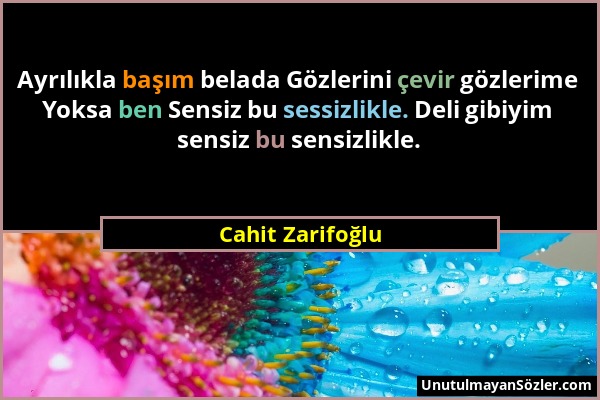 Cahit Zarifoğlu - Ayrılıkla başım belada Gözlerini çevir gözlerime Yoksa ben Sensiz bu sessizlikle. Deli gibiyim sensiz bu sensizlikle....