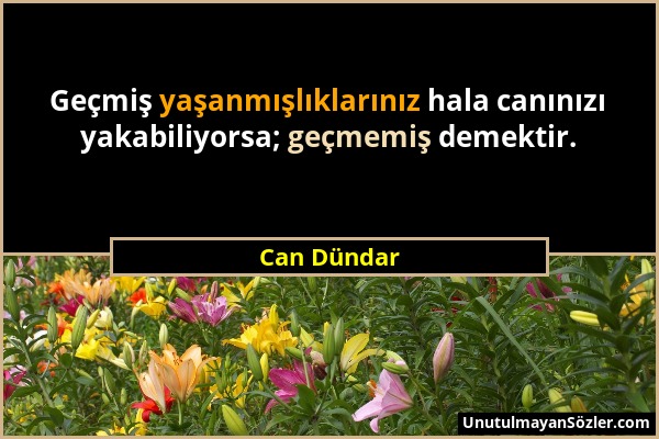 Can Dündar - Geçmiş yaşanmışlıklarınız hala canınızı yakabiliyorsa; geçmemiş demektir....