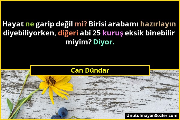 Can Dündar - Hayat ne garip değil mi? Birisi arabamı hazırlayın diyebiliyorken, diğeri abi 25 kuruş eksik binebilir miyim? Diyor....